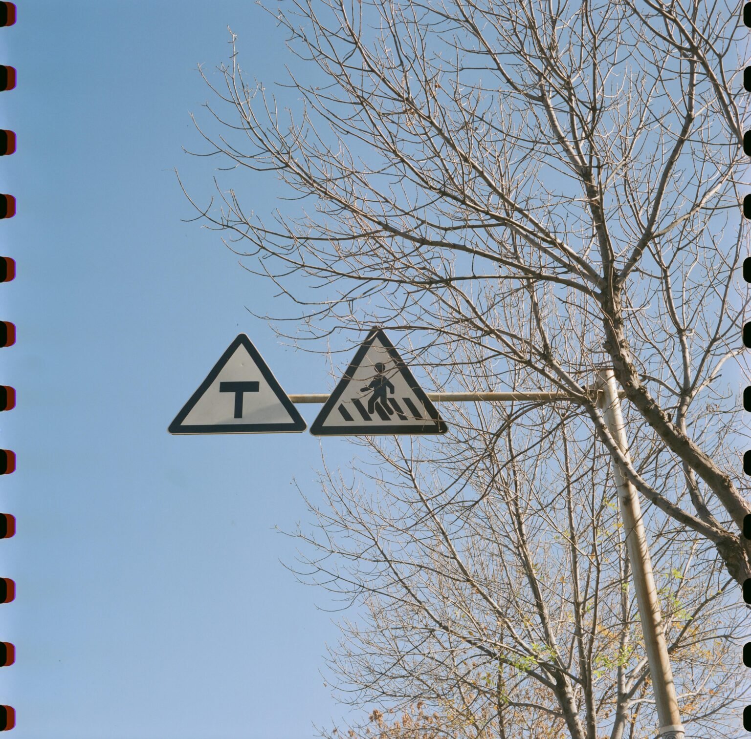 7 Clear Signs Your Match Is Truly Into You - Match & Matter