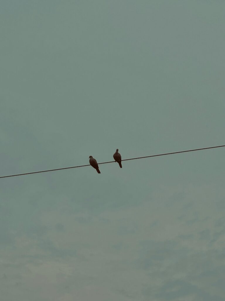 Keeping It Light & Meaningful in Early Connections